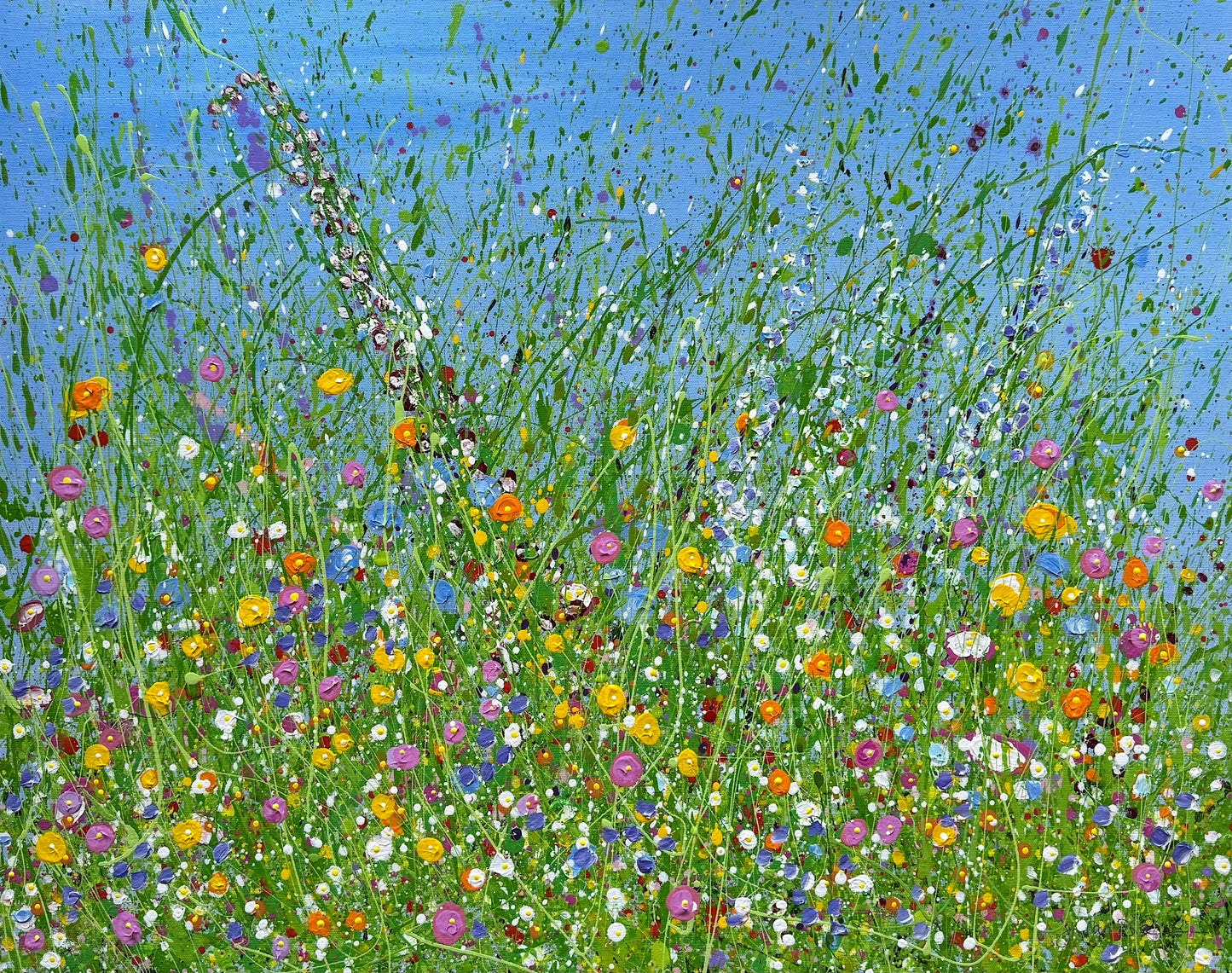 Flower Fields #8